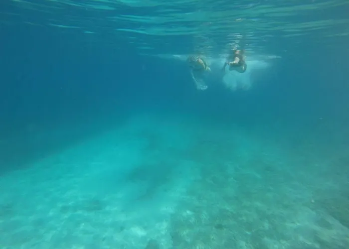 Daky 4* 스플리트